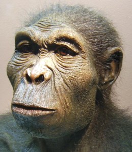 cropped-homo_habilis-2.jpg