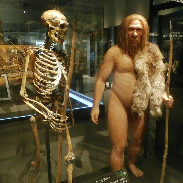 A Big Few Months for Human Evolution&nbsp;Research