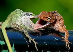 2414493787_76812dee65_z