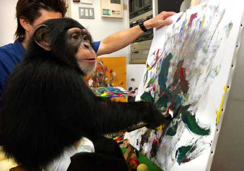 Asuka, three-year-old female chimpanzee, draws an oil painting at a studio at Izu Shaboten Park in Ito