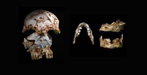 Researchers found an ancient human skull, left, with modern characteristics, and a human jaw, right, with modern and archaic traits, in the same cave in northern Laos. Both artifacts date to 46,000 to 63,000 years ago. Credit: Fabrice Demeter