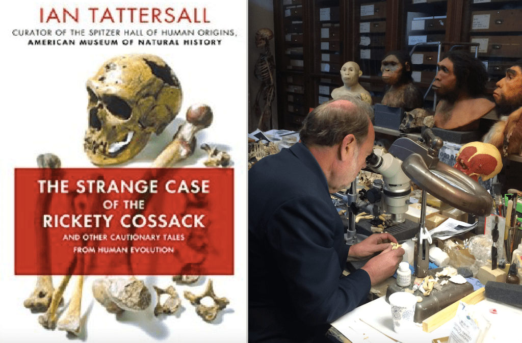 A conversation with Ian Tattersall about his new book: The Strange Case of the Rickety Cossack and Other Cautionary Tales from Human&nbsp;Evolution