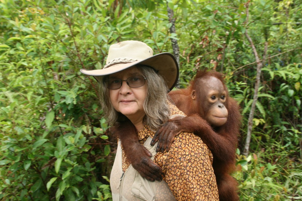 The Trimates The “Trimates,” The Founding Mothers of Primatology – The Human ...
