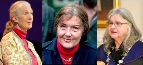 The Trimates The “Trimates,” The Founding Mothers of Primatology – The Human ...