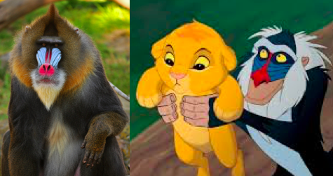 Screen Shot 2015-08-11 at 11.25.45 AM