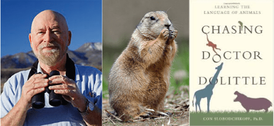 Screen Shot 2015-08-14 at 10.49.36 PM