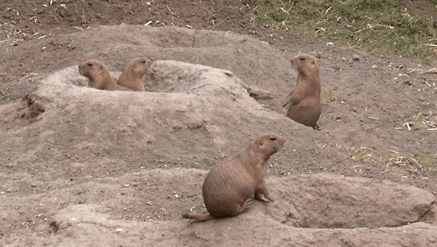 Photo by Marci Saját