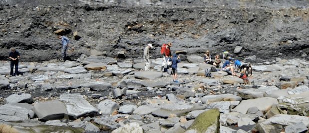 Cropped from image by John Myers.