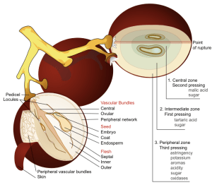 Screen Shot 2015-11-12 at 11.47.50 AM