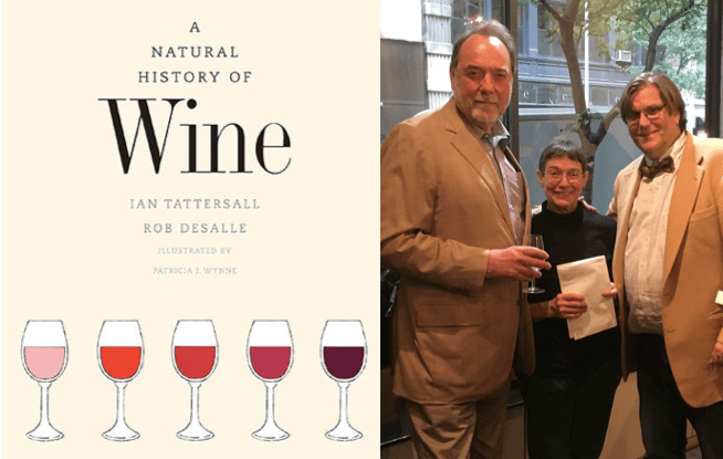 Screen Shot 2015-11-13 at 11.12.27 AM