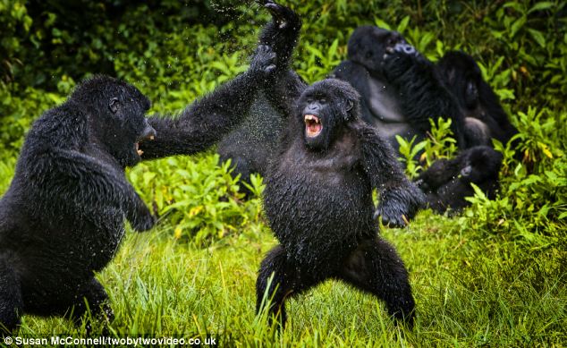 article-2289609-187EE46A000005DC-837_634x389