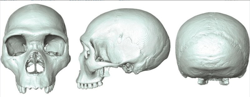 Screen Shot 2016-01-03 at 10.14.33 PM