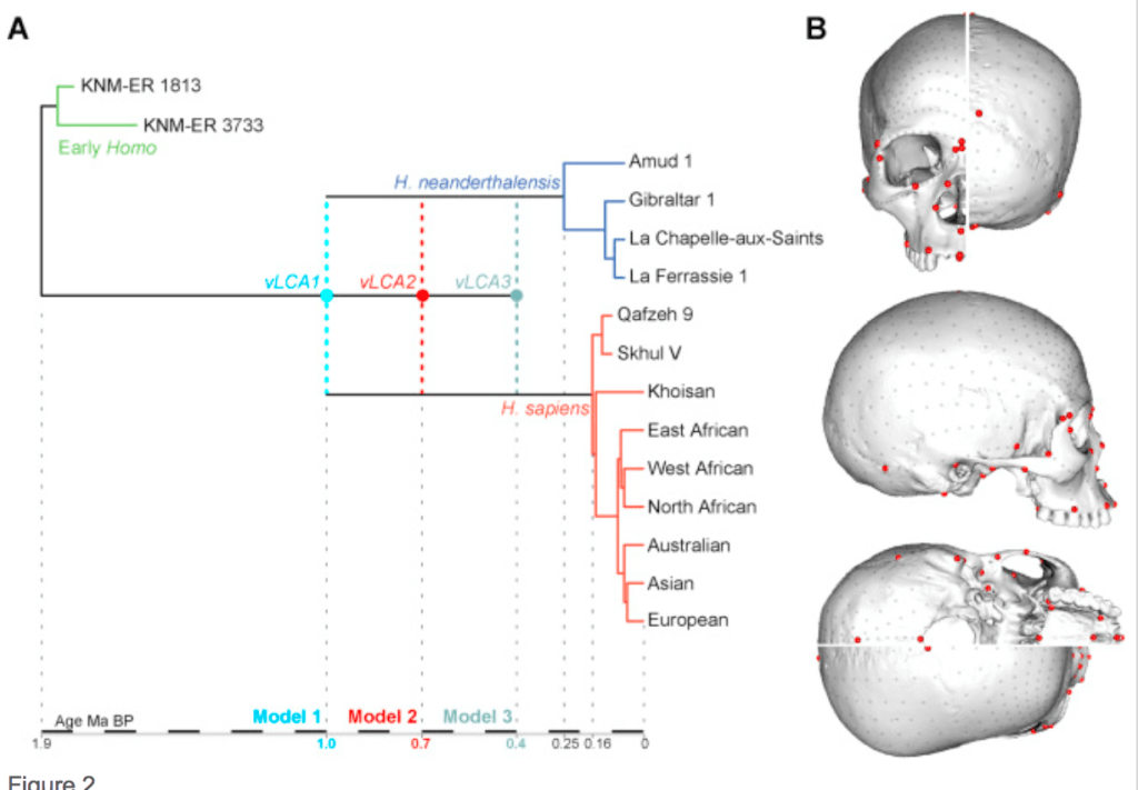 Screen Shot 2016-01-04 at 4.41.26 PM