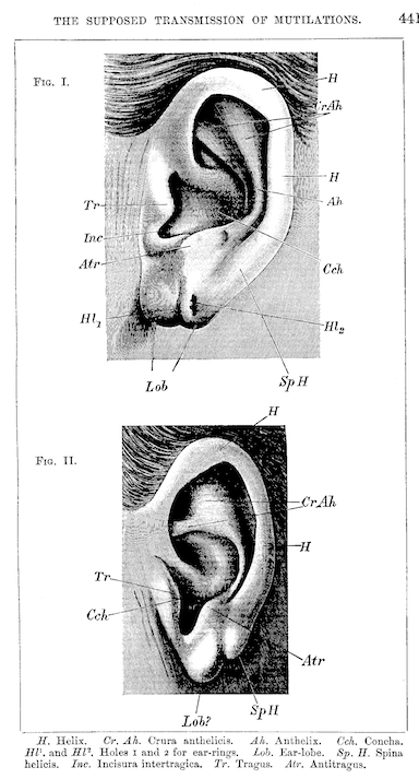 Screen Shot 2016-04-18 at 9.39.53 AM