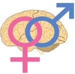 612px-Sapioheterosexuality_Symbol