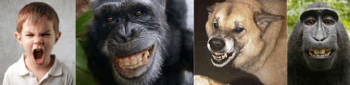 Screen Shot 2016-08-07 at 10.42.36 PM