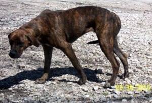 1a1a1a1a1a1asweet-girl-scar