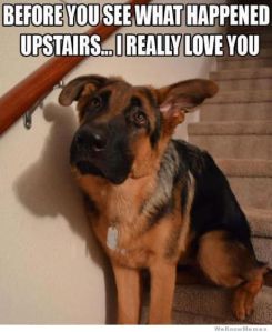 before-you-see-what-happens-upstair