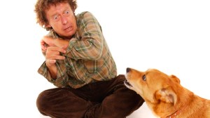 298169162_30ee646a74_o