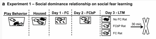 screen-shot-2016-10-16-at-8-46-09-pm