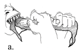 Screen Shot 2016-12-05 at 1.27.24 PM.png