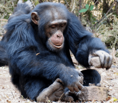 screen-shot-2016-12-05-at-1-50-52-pm