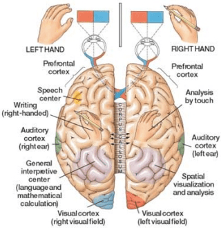 screen-shot-2016-12-05-at-1-53-02-pm