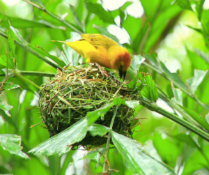 screen-shot-2017-02-06-at-10-25-06-pm