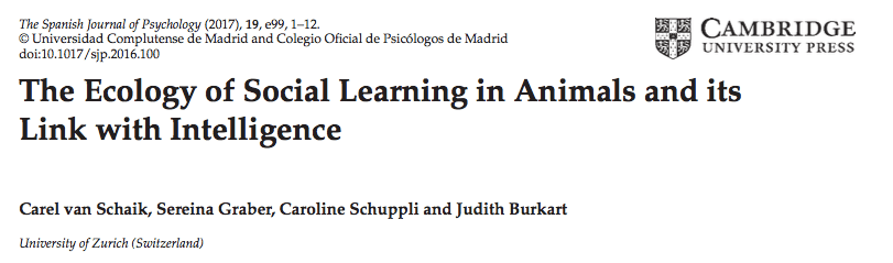 screen-shot-2017-02-06-at-10-25-45-pm