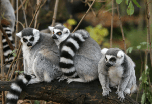 screen-shot-2017-02-06-at-10-27-07-pm