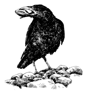 screen-shot-2017-02-06-at-10-30-27-pm