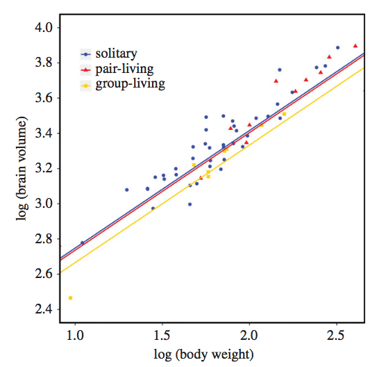 screen-shot-2017-03-02-at-11-43-56-am