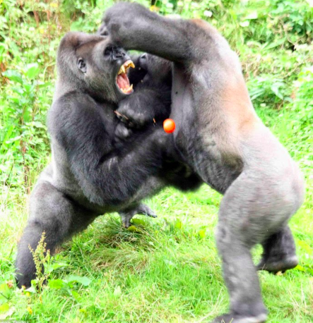 screen-shot-2017-03-05-at-10-08-47-pm