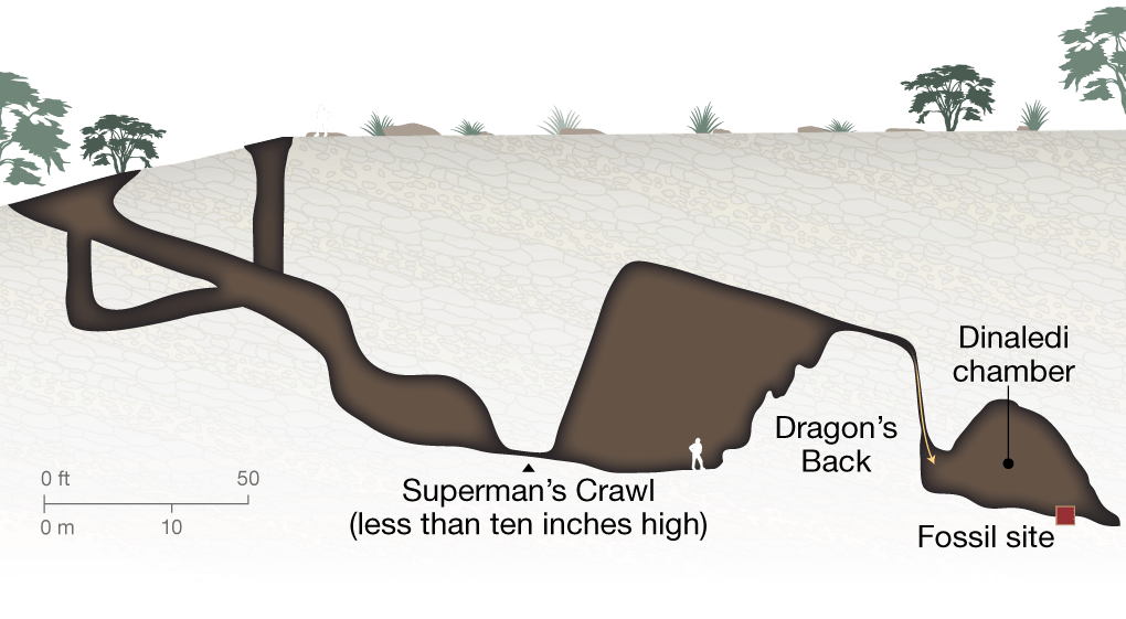 dinaledi_cave4_FINAL.ngsversion.1440173941173