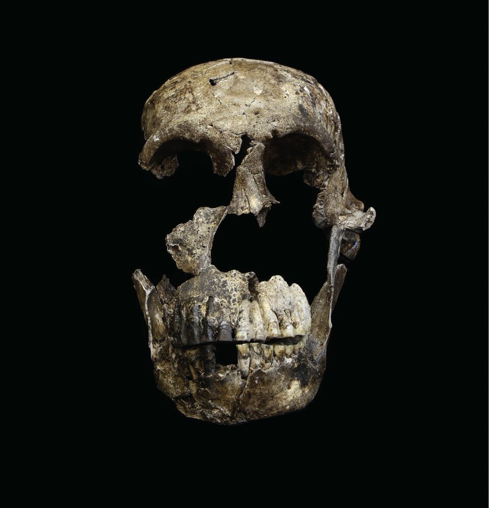 Exclusive Interview with Lee Berger: A Second Cave, Homo naledi Fossils Only 236-355k Years&nbsp;Old