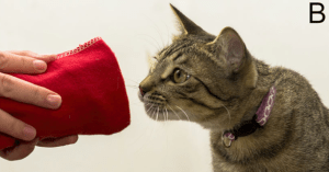 Screen Shot 2017-11-25 at 7.06.55 PM