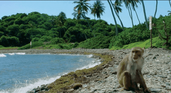 Screen Shot 2018-04-08 at 9.37.16 PM