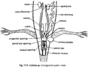 Screen Shot 2018-05-23 at 2.36.12 PM