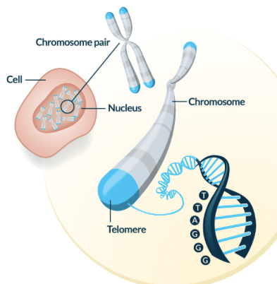 Screen Shot 2018-06-09 at 2.16.58 PM