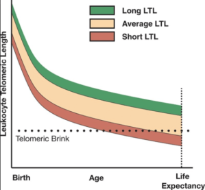 Screen Shot 2018-06-09 at 2.34.02 PM