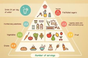 vegan_food_pyramid-crop