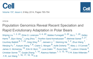 Screen Shot 2019-02-12 at 12.08.40 AM