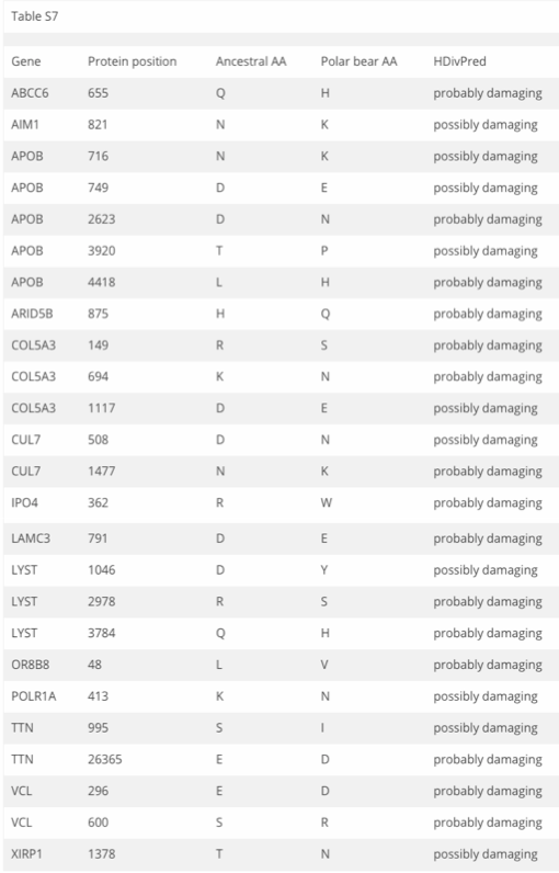 Screen Shot 2019-02-16 at 11.23.37 AM