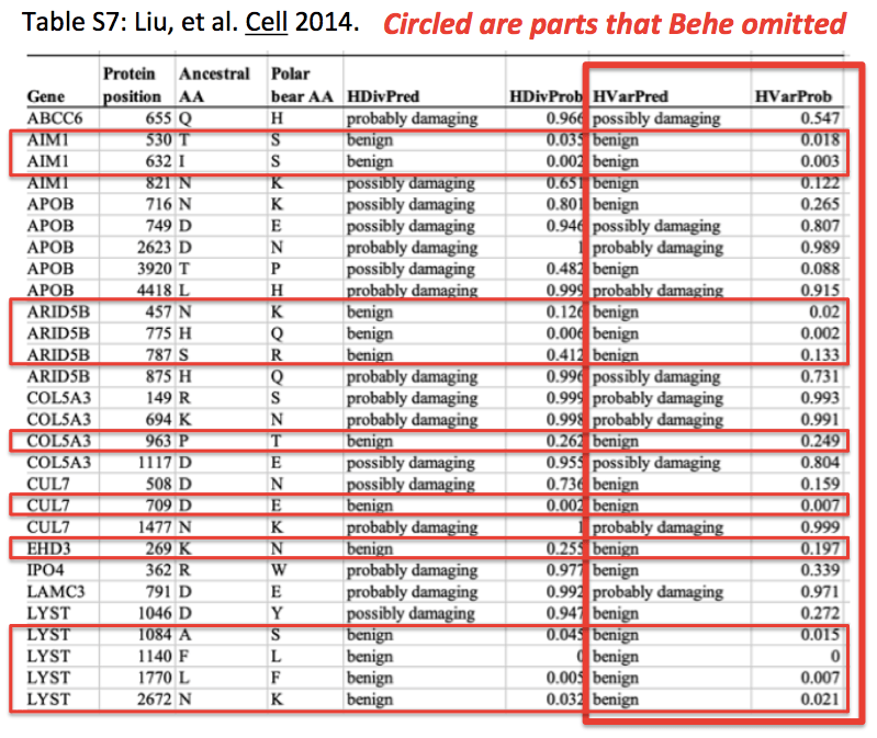 Screen Shot 2019-02-16 at 12.28.19 PM