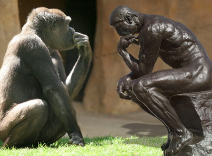 Maladaptation in Evolutionary Psychology – The Human Evolution Blog