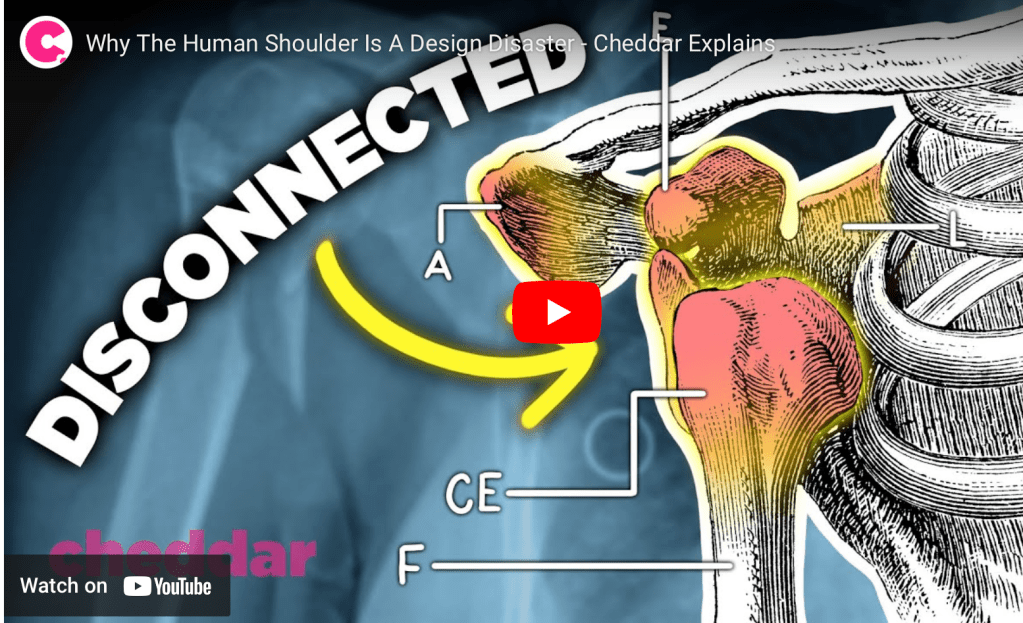 Some interviews on our poorly designed&nbsp;bodies